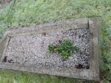 image of grave number 608053